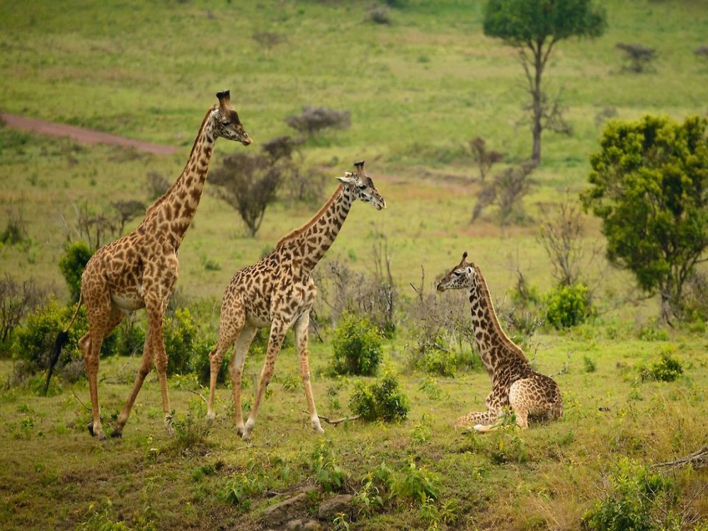 Arusha National Park