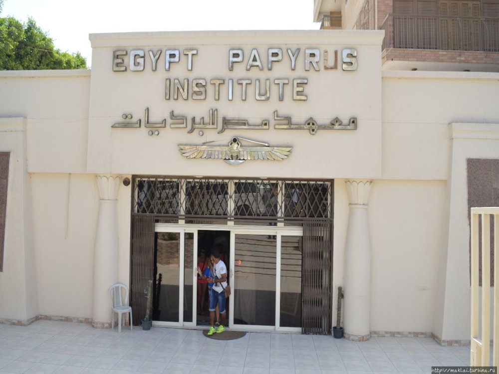 Papyrus Institute