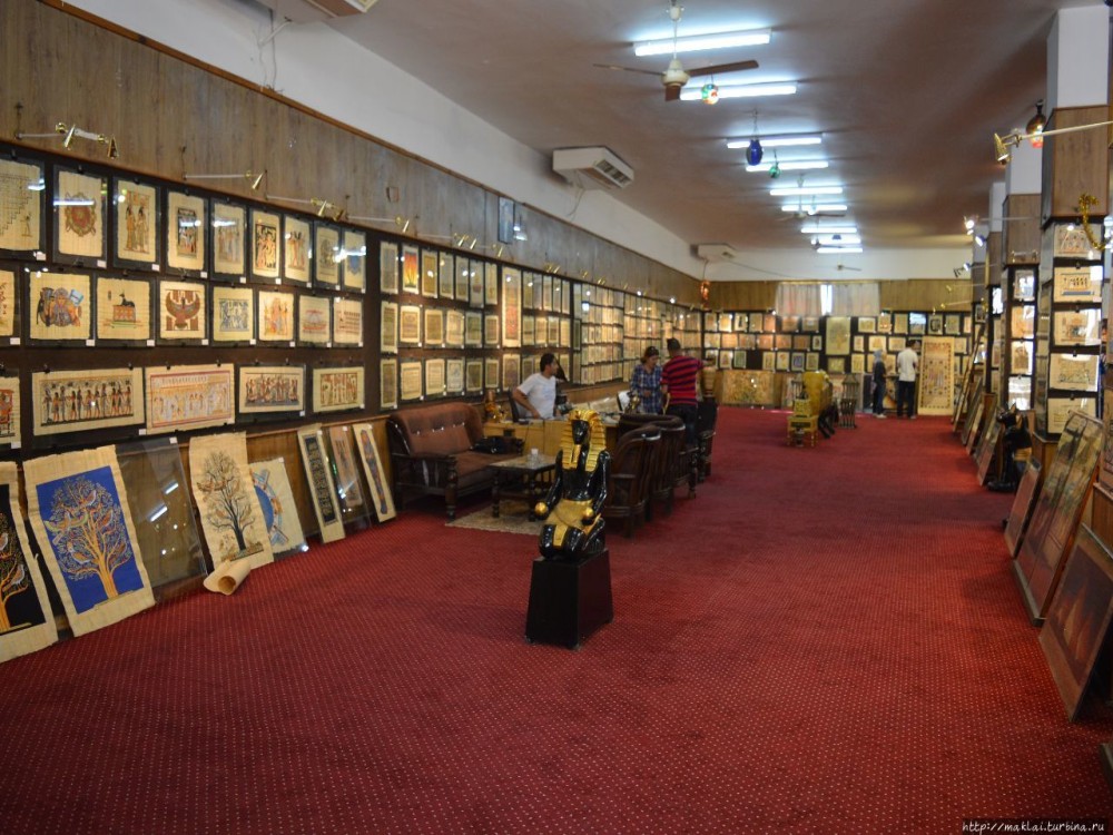 Papyrus Institute