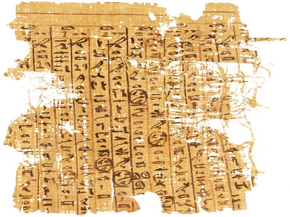 Papyrus Institute