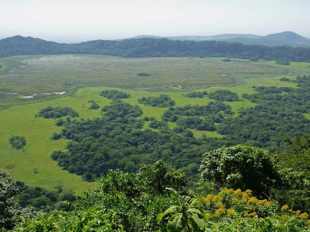 Ngurdoto Crater