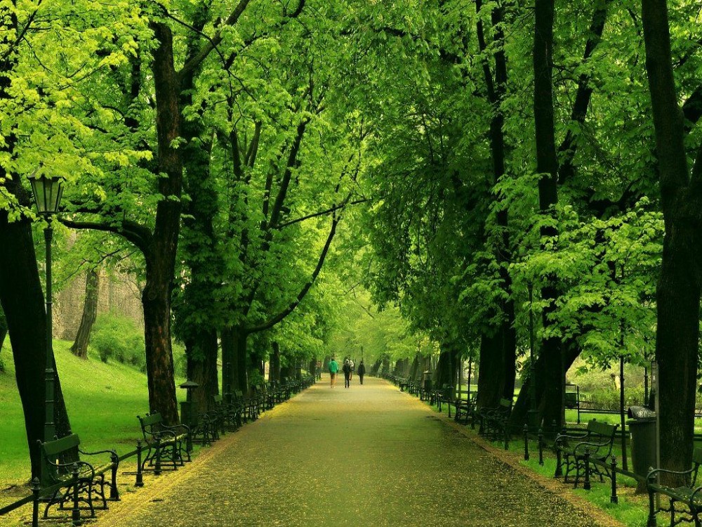 Planty Park