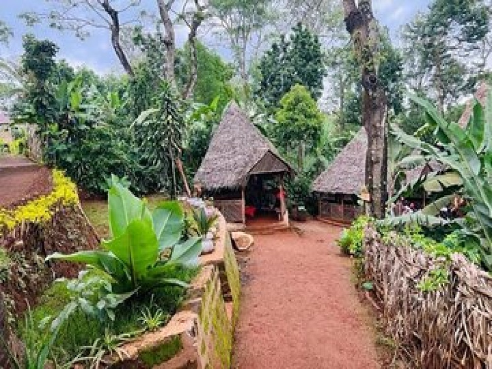 Mshiri Village