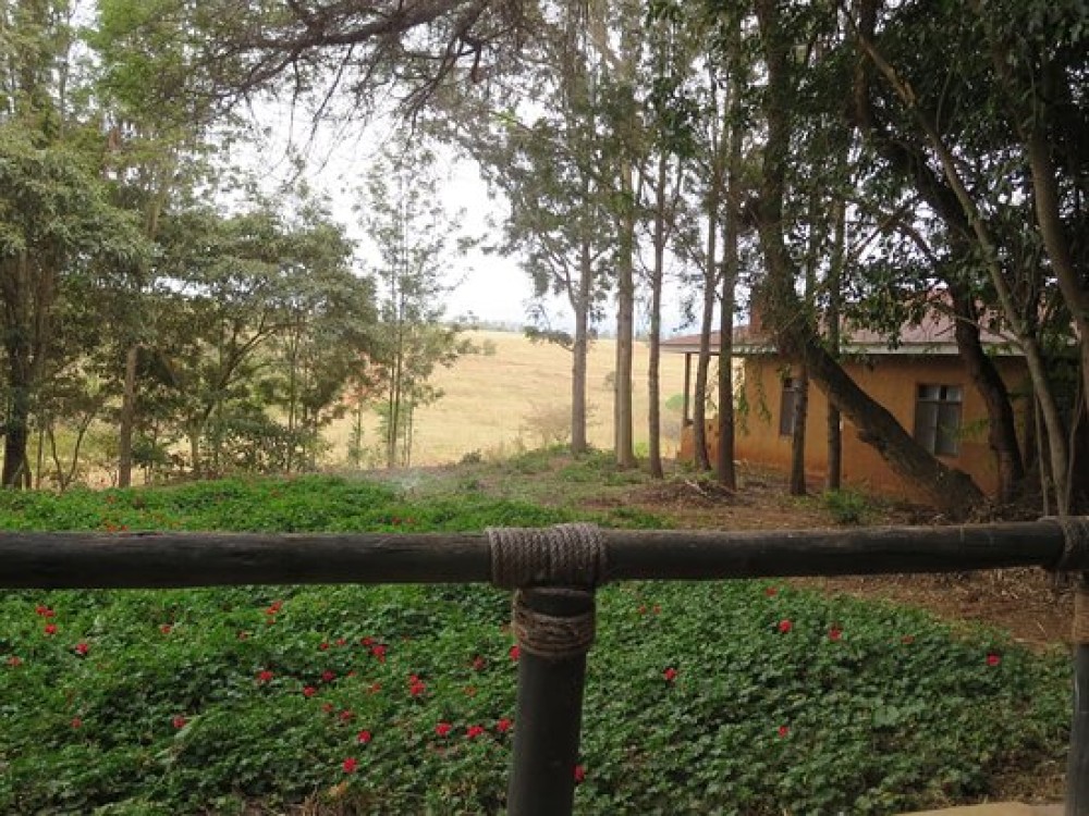 Mshiri Village
