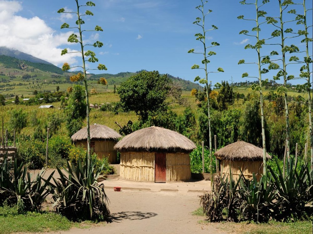 Mshiri Village