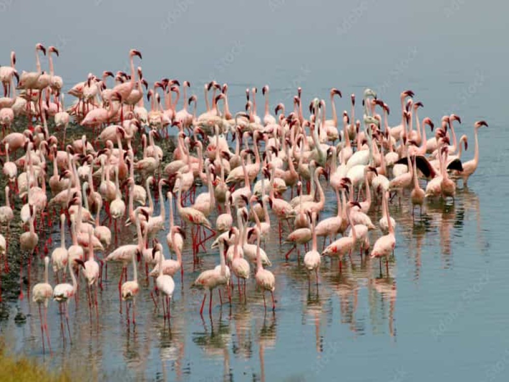 Momella Lakes