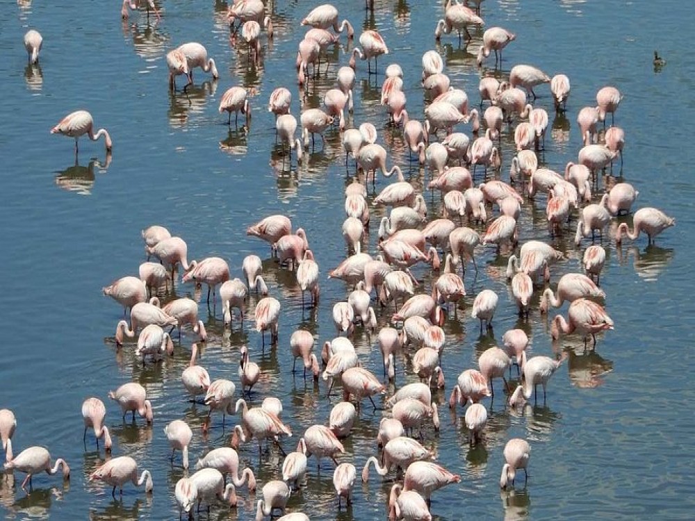 Momella Lakes