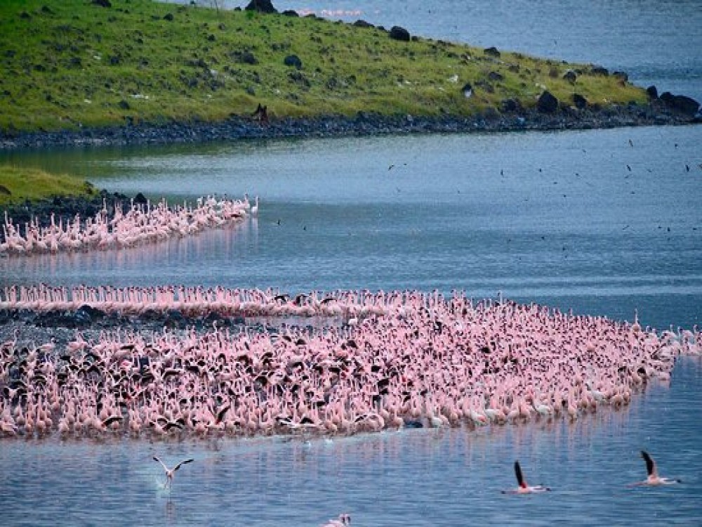 Momella Lakes