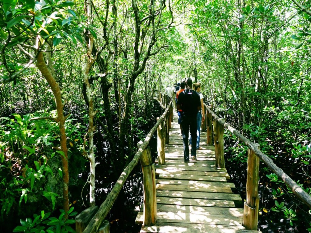 Jozani-Chwaka Bay National Park