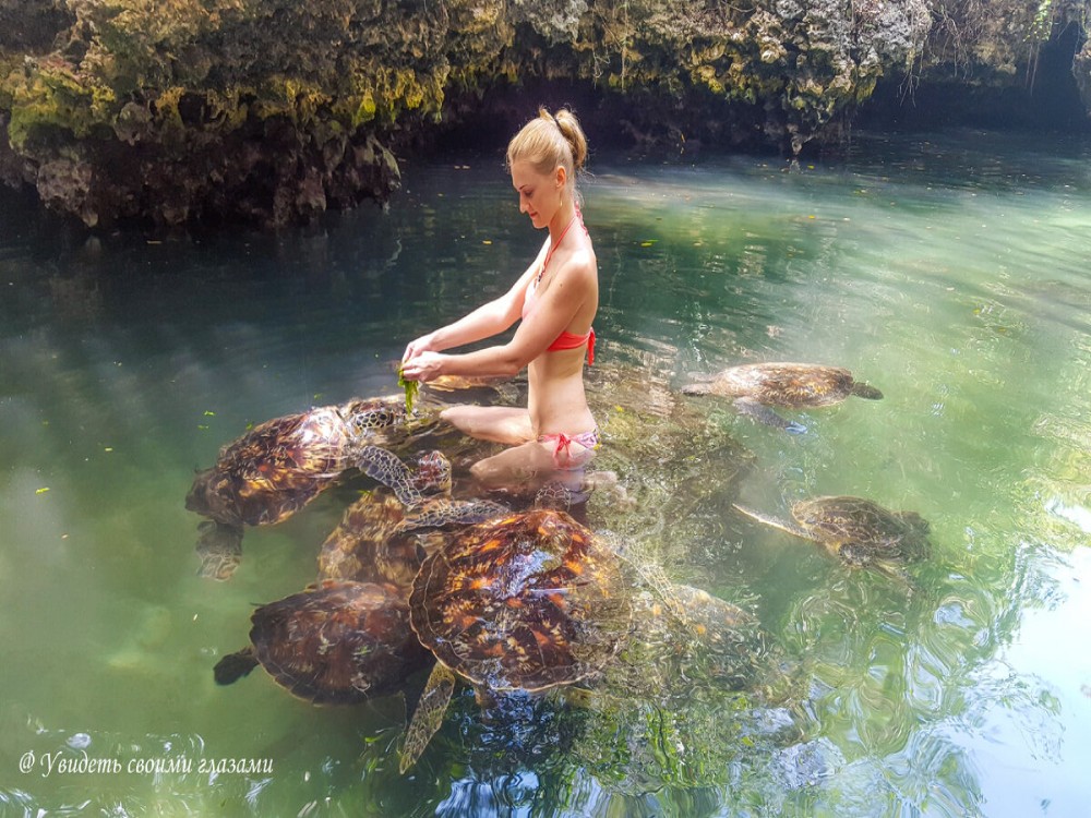  Nungwi Mnarani Aquarium and Marine Turtle Conservation Lagoon