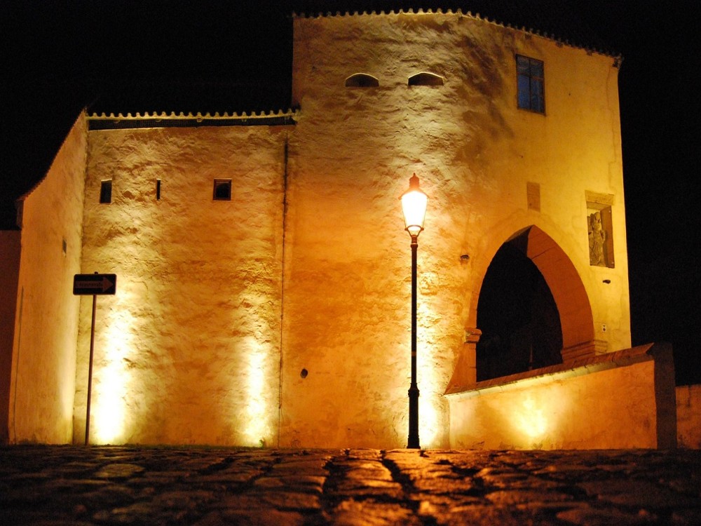 Mtoni Palace