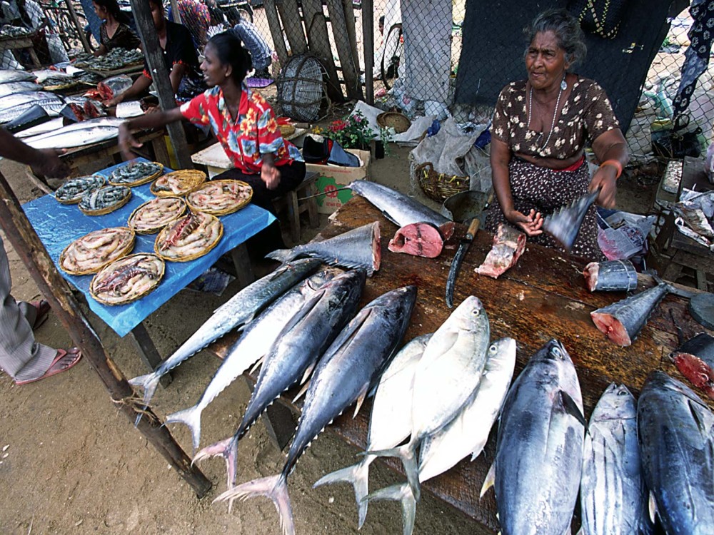 Mwanakwerekwe Market