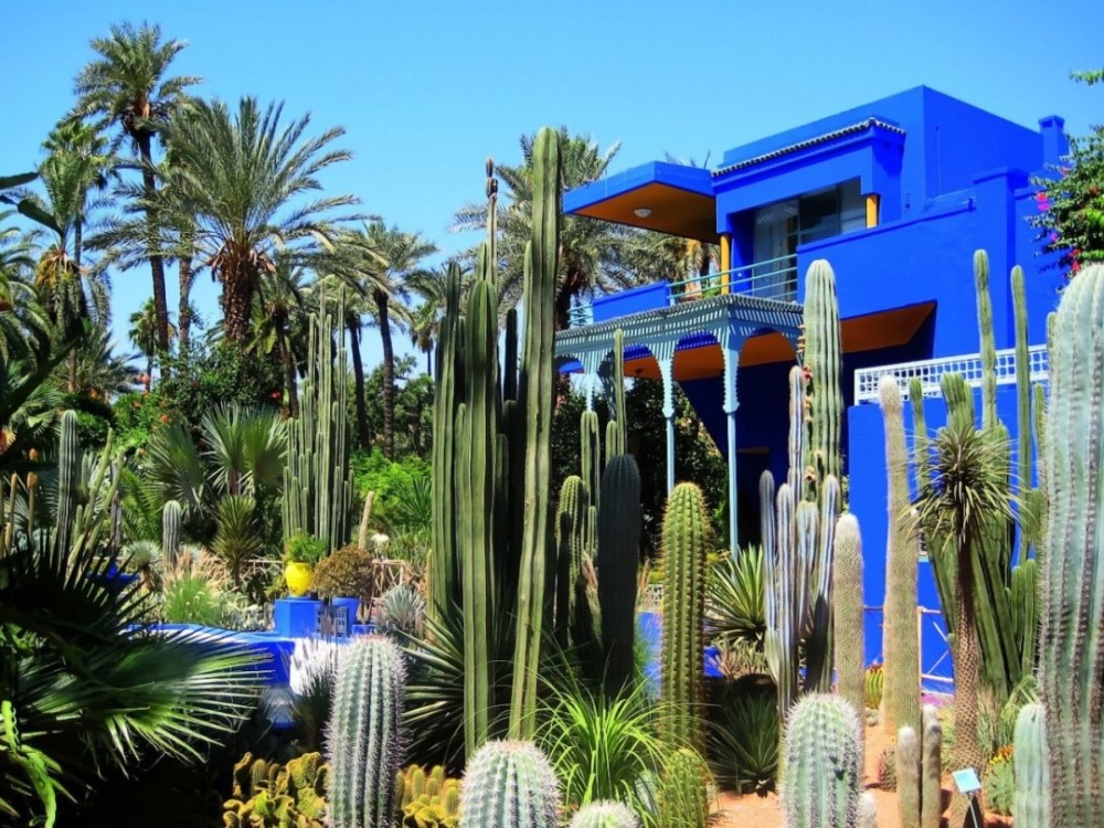 Majorelle Garden