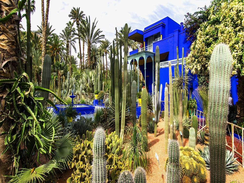 Majorelle Garden