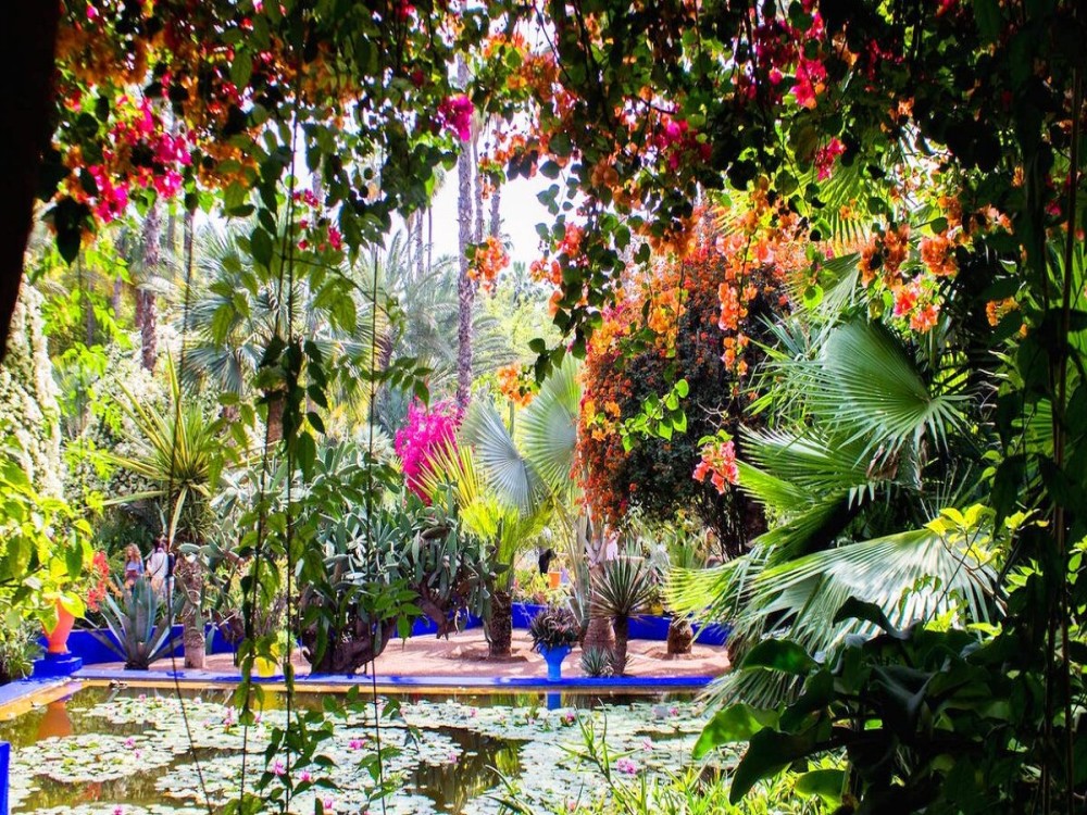 Majorelle Garden