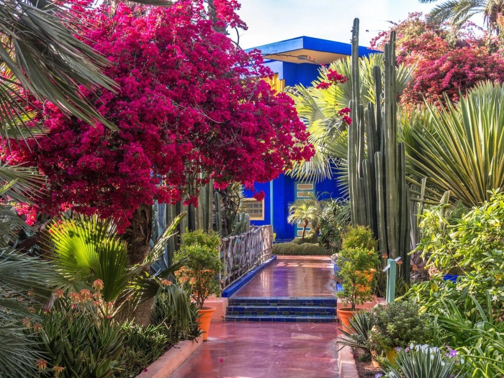 Majorelle Garden