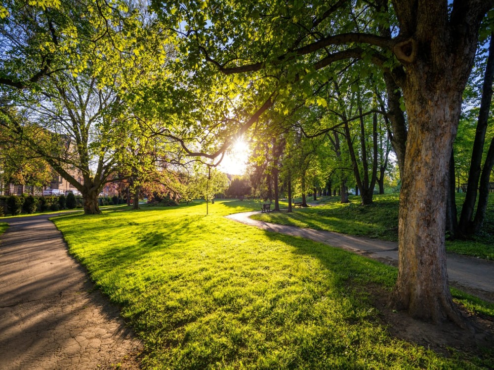 Letná Park