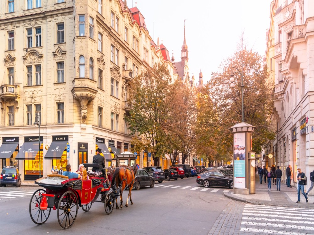 Paris Street