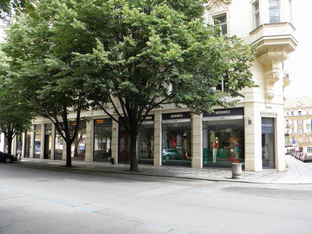 Paris Street