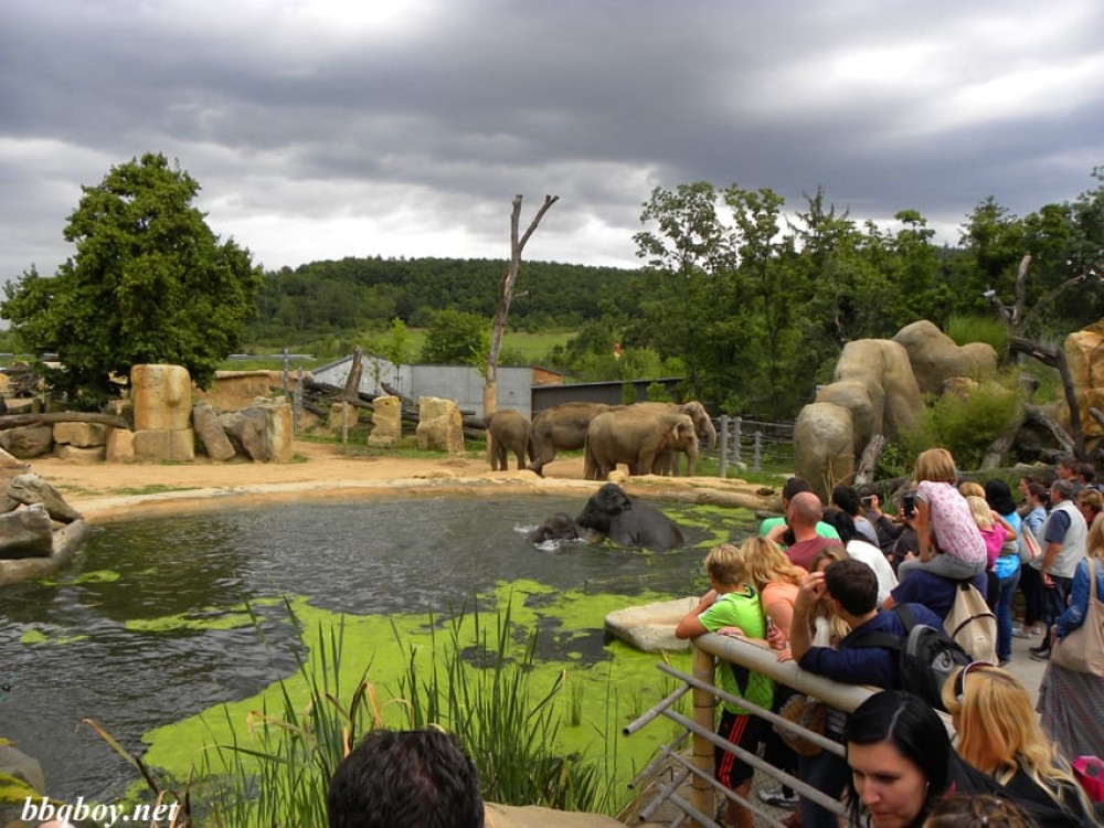 Prague Zoo