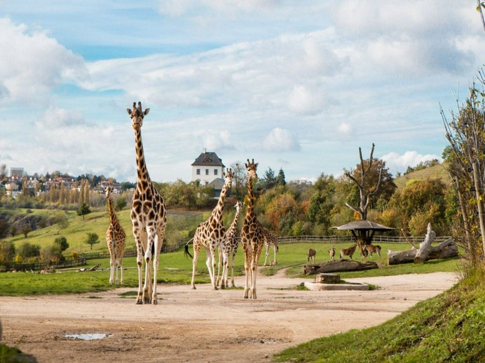 Prague Zoo