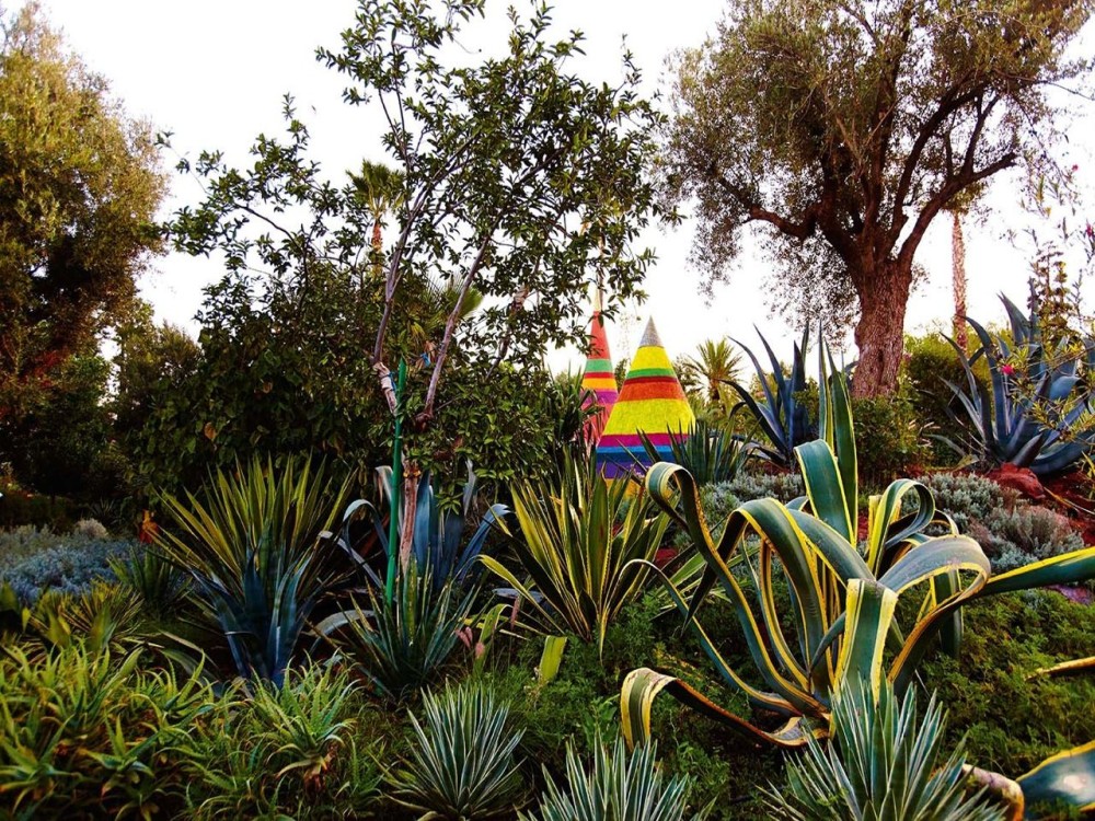 ANIMA Garden