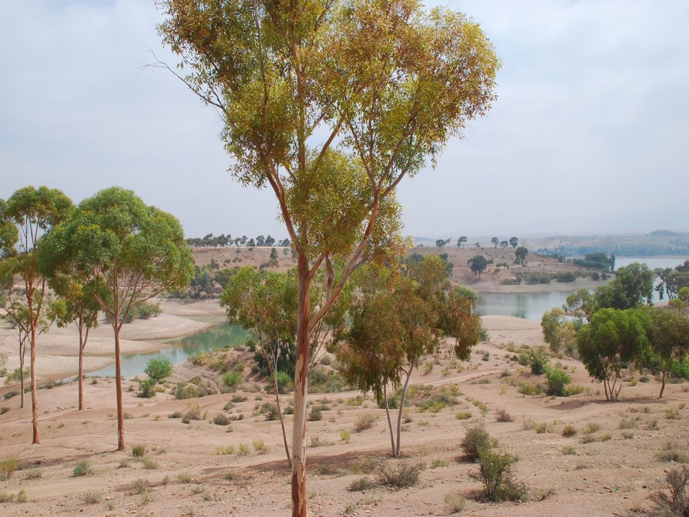 Takerkoust Lake