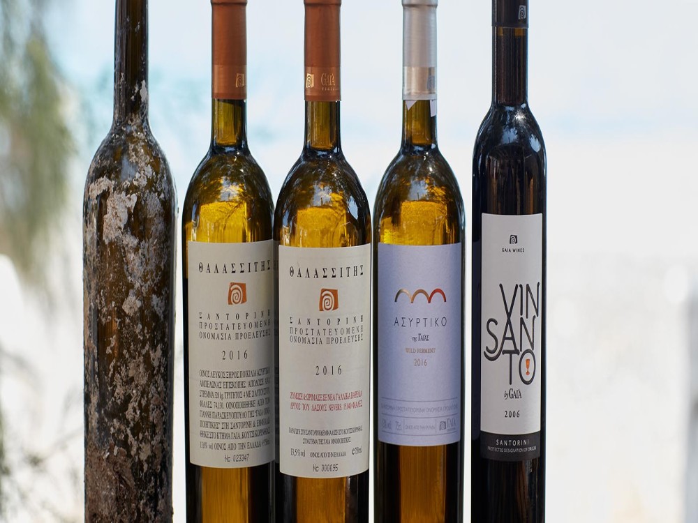 Gaia Wines