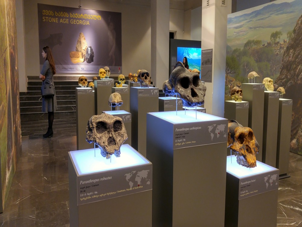 Georgian National Museum 