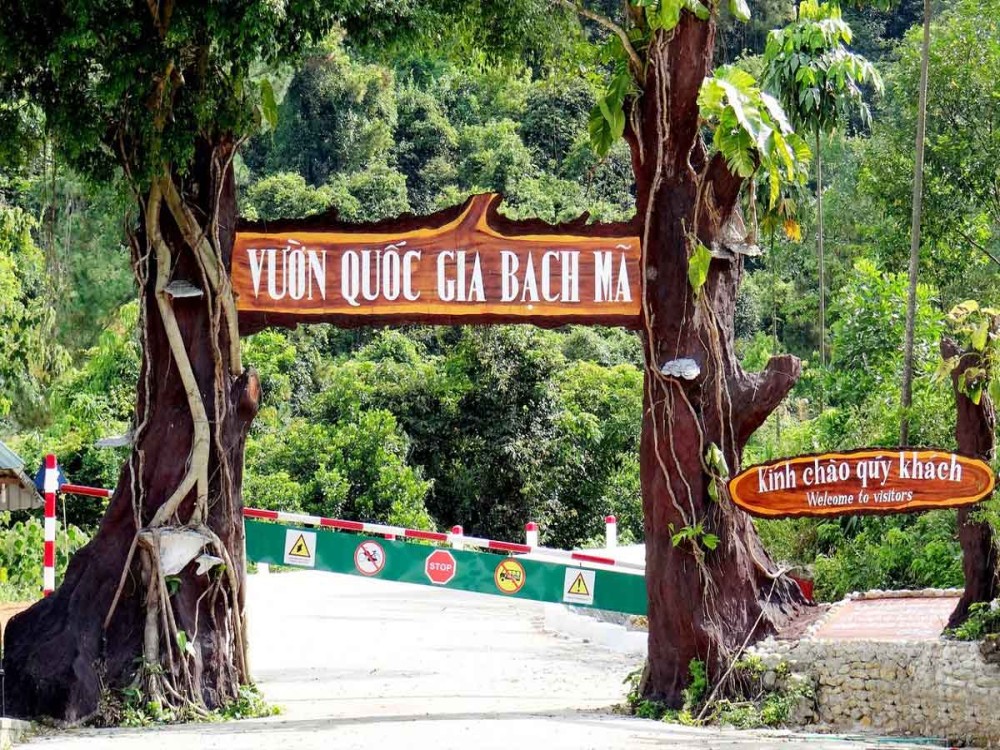 Bach Ma National Park