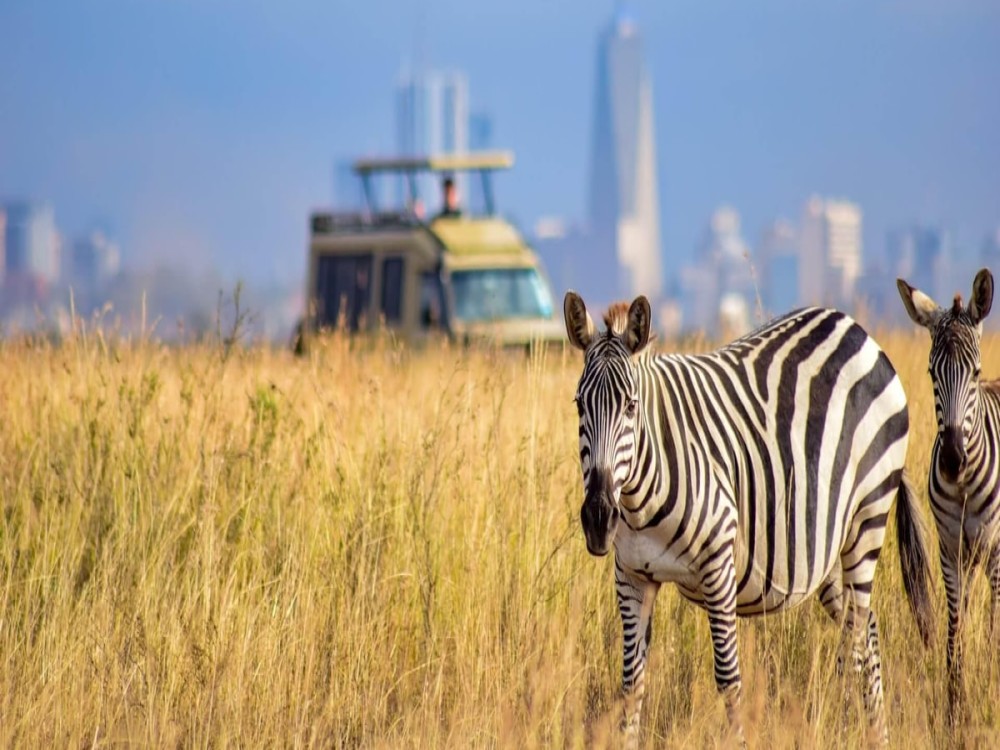 Nairobi National Park