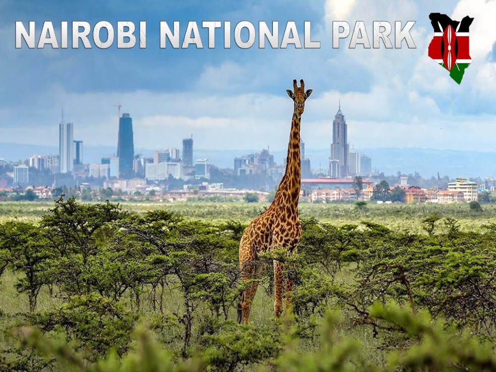 Nairobi National Park