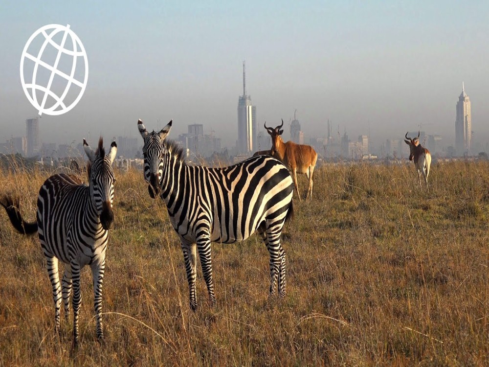 Nairobi National Park