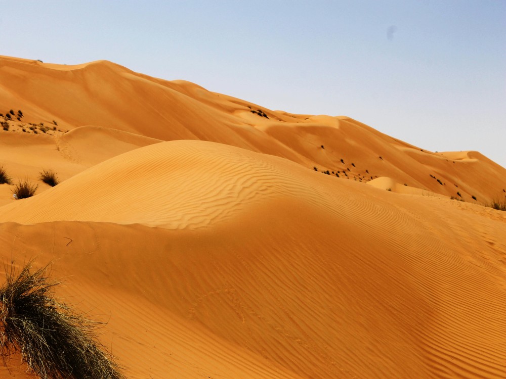Wahiba Sands