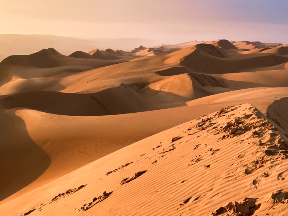 Wahiba Sands