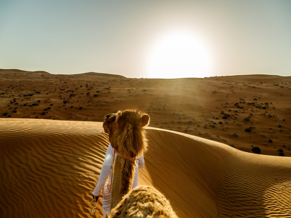 Wahiba Sands