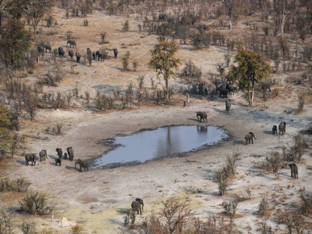 Chobe National Park