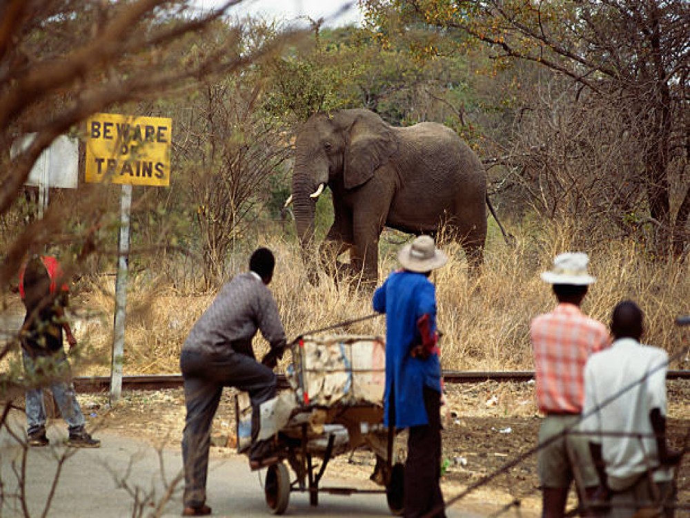 Victoria Falls National Park