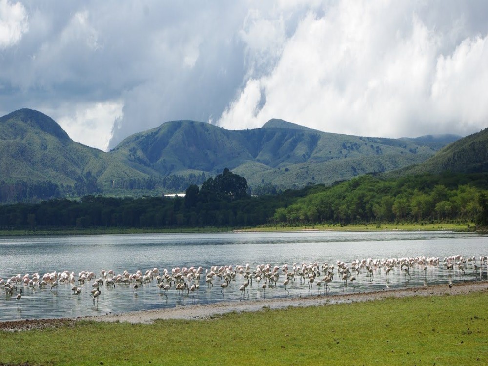 Lake Naivasha