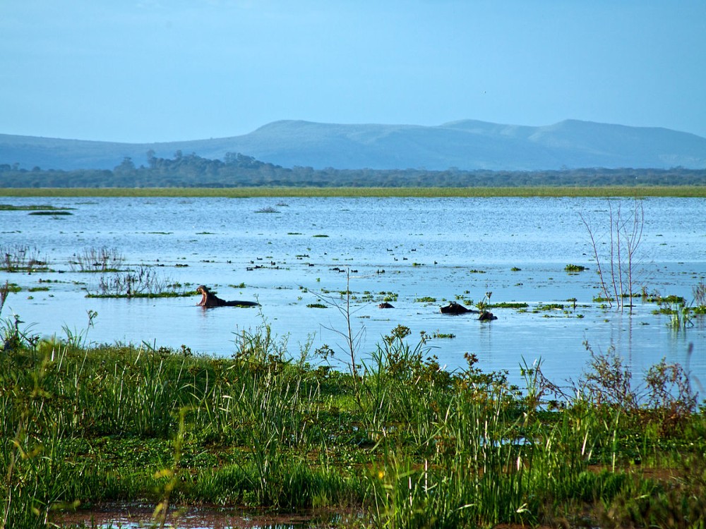 Lake Naivasha