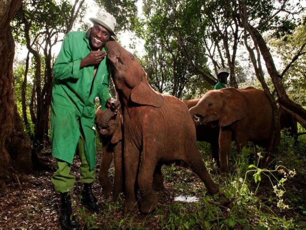 Sheldrick Wildlife Trust