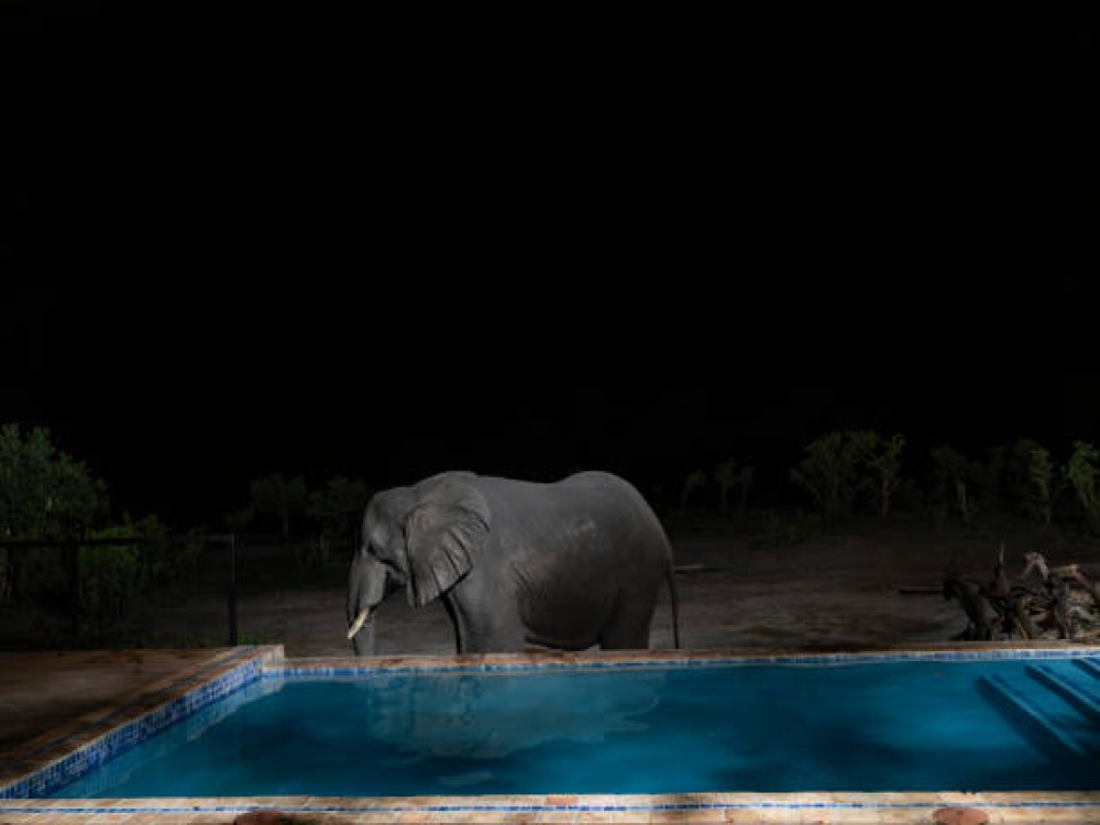 Hwange National Park