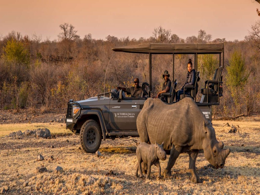 Victoria Falls Private Game Reserve