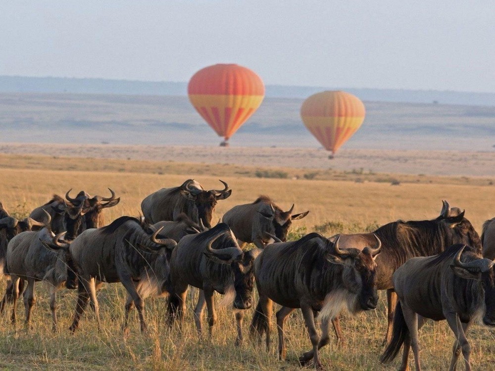Masai Mara National Reserve 