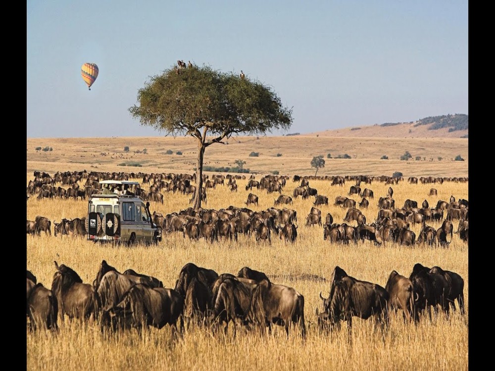 Masai Mara National Reserve 