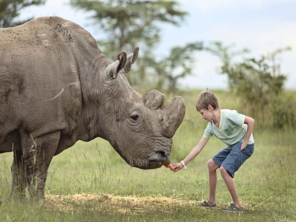 Ol Pejeta Conservancy