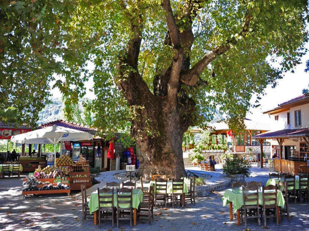 Bayır Village