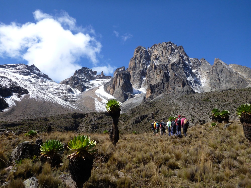 Mt. Kenya