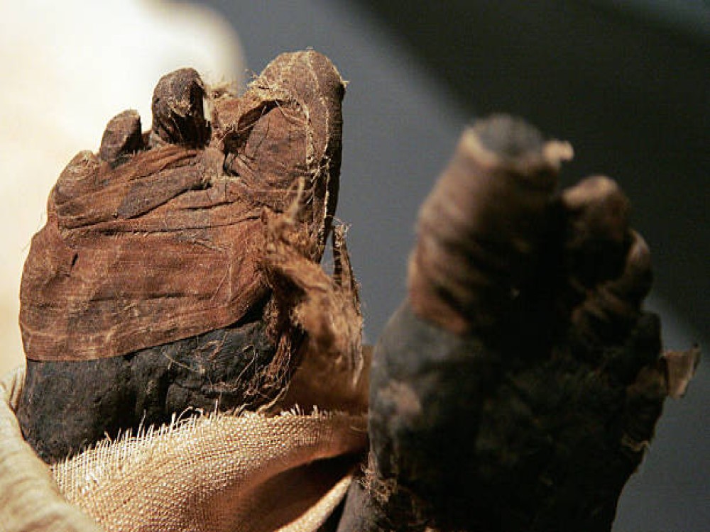 Mummification Museum