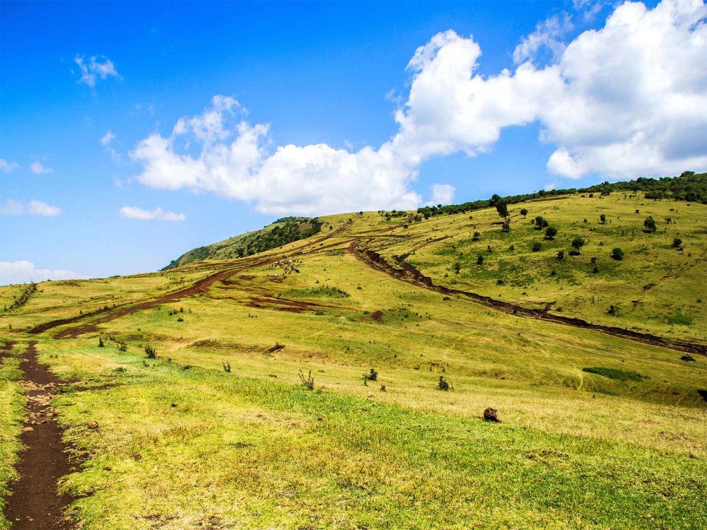 Ngong Hills
